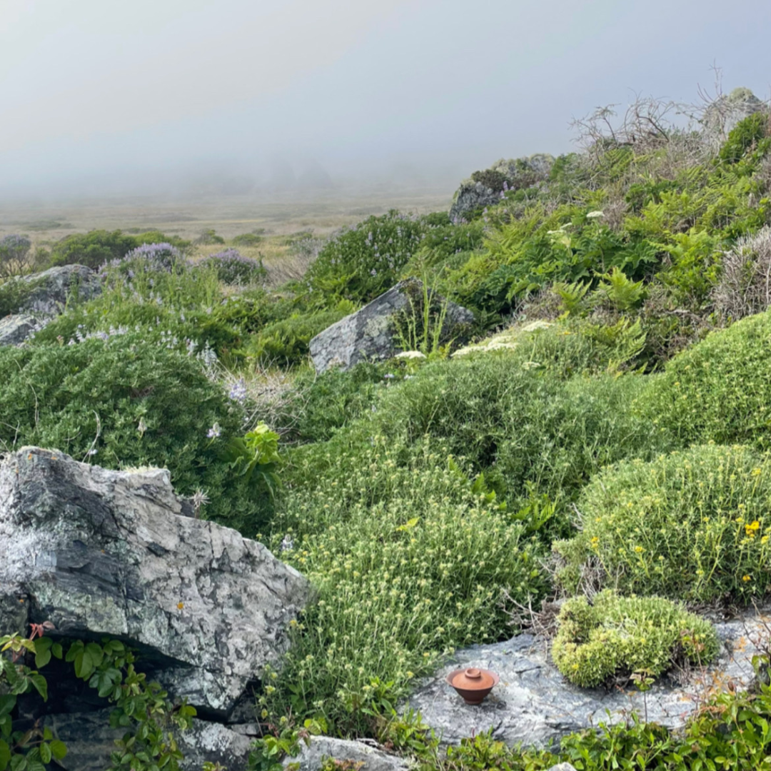 Seasonal Tea Journey—Subscription