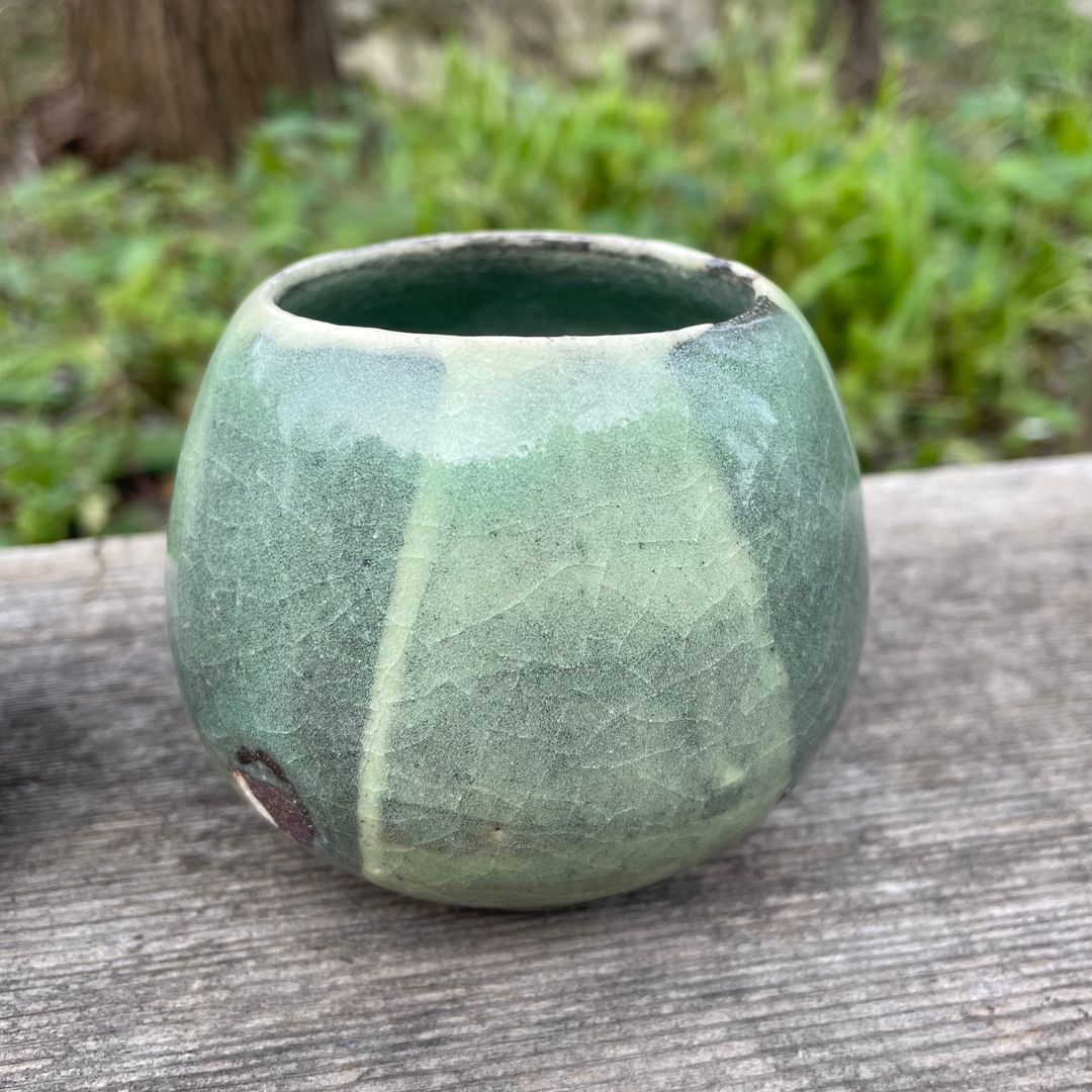 Jade Succulent Tulip Cups