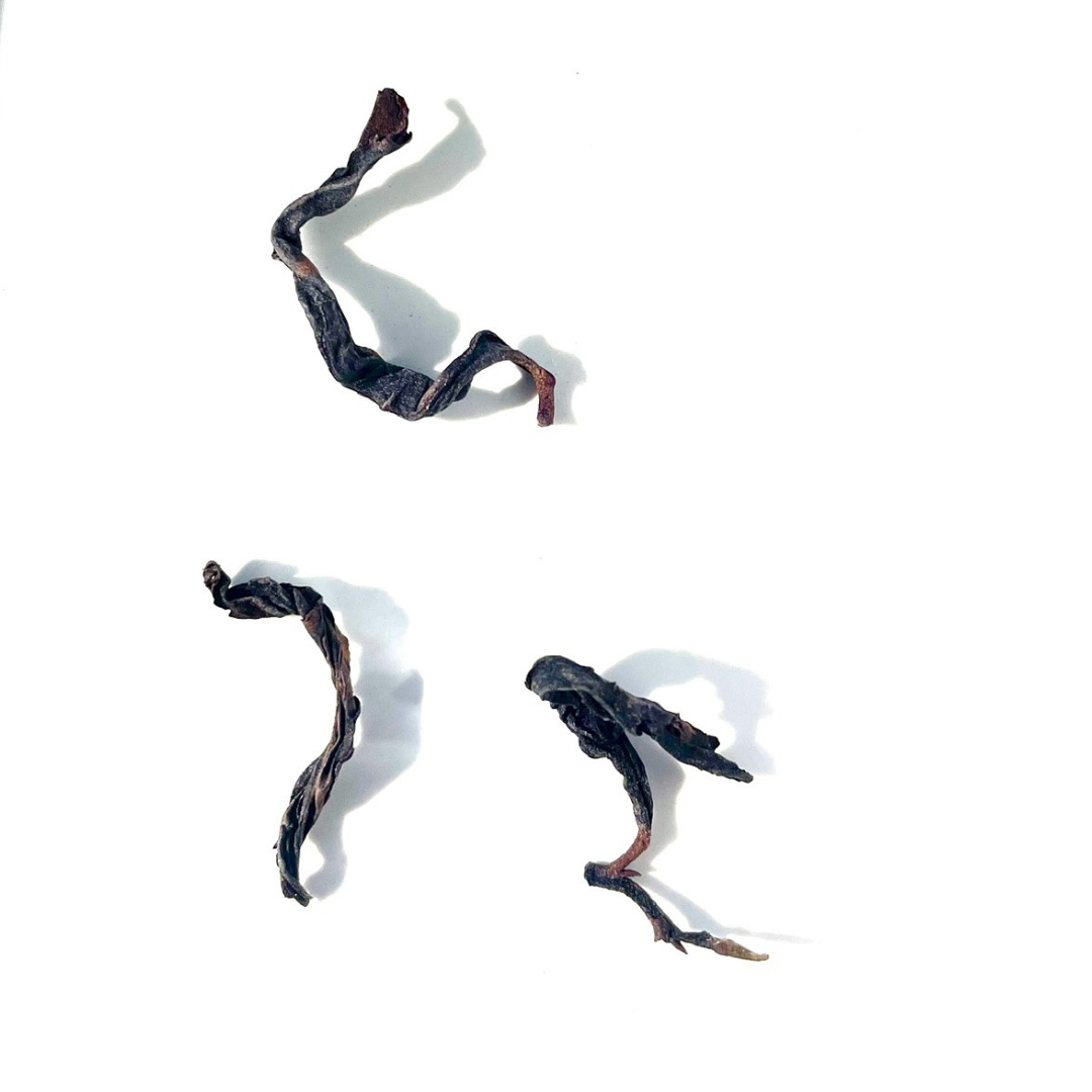 Sawtooth Phoenix 1.5oz