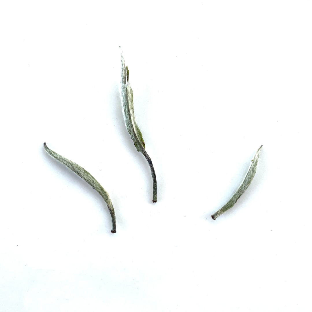 Wild Garden Silver Needles