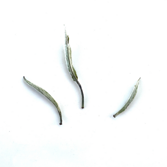 Wild Garden Silver Needles