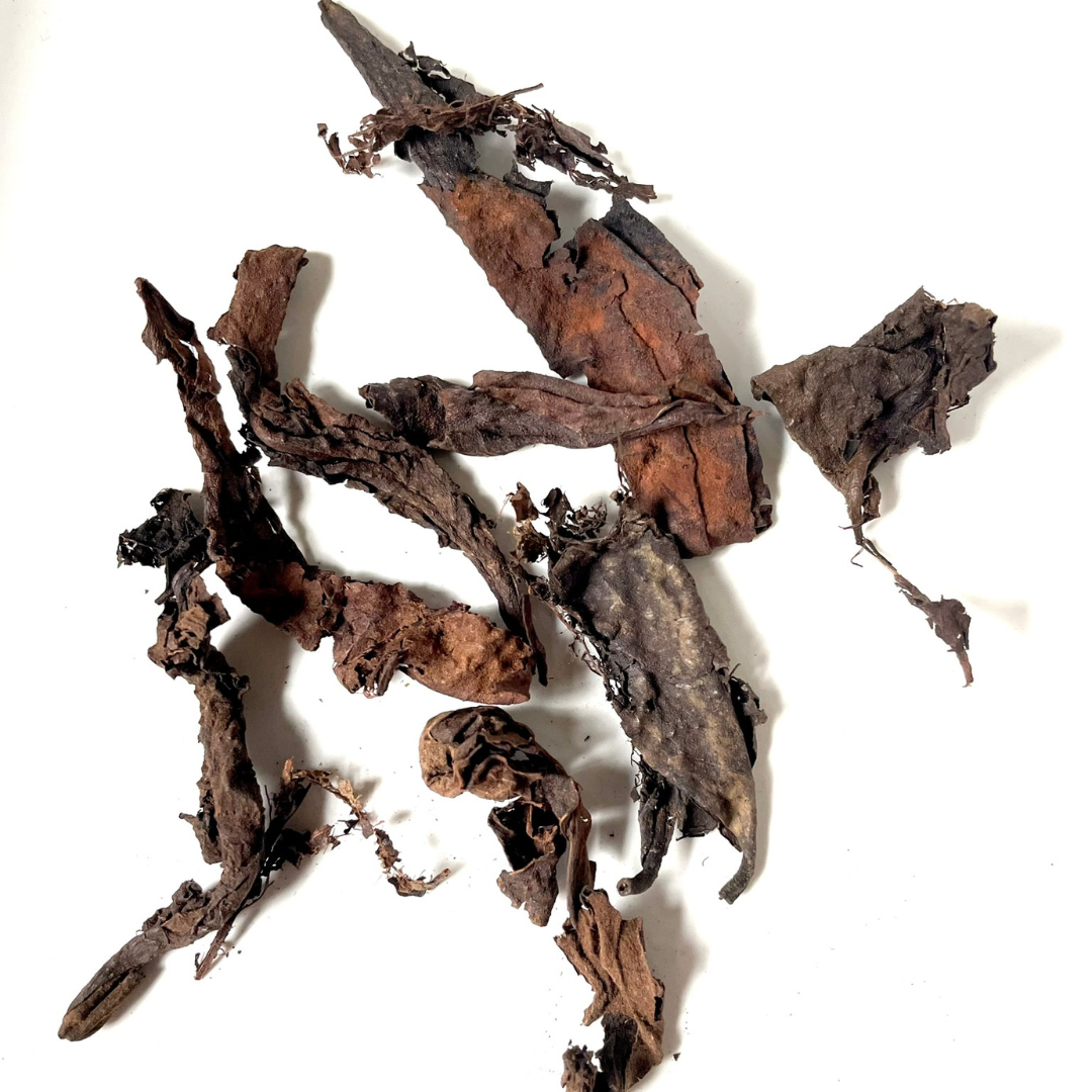 Puerh Largesse 1oz (1996 Old Tree Large Leaf Shou