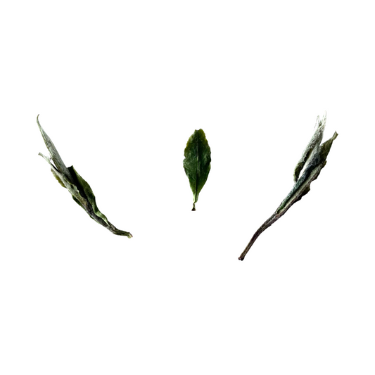 Shuixian White